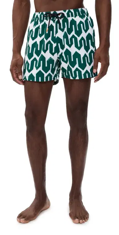 Save The Duck Ademir Swim Trunks 4 Bold Zigzag/ove The Ocean | Thumbnail 1