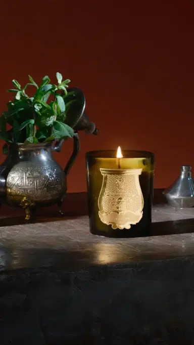 Trudon Abd El Kader Candle Moroccan Mint Tea 270 mL | Thumbnail 3 Trudon Abd El Kader Candle Moroccan Mint Tea 270 mL | Thumbnail 3
