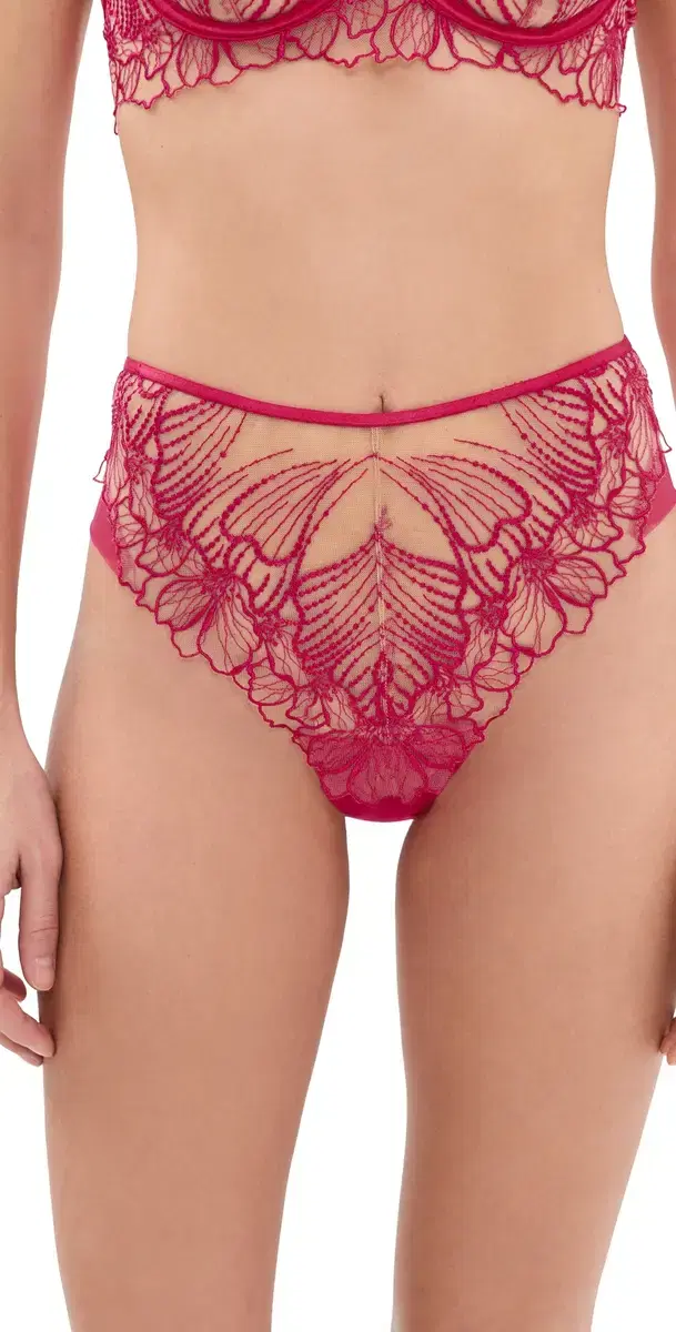 Amarosa Briefs Virtual Pink/heer