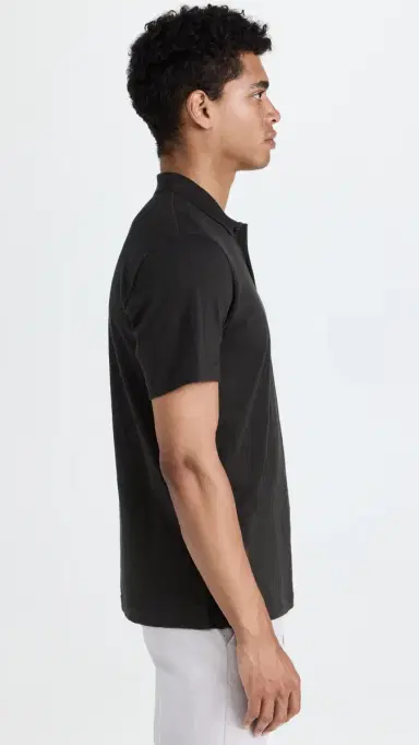 Theory Bron Polo in Cosmos | Thumbnail 4