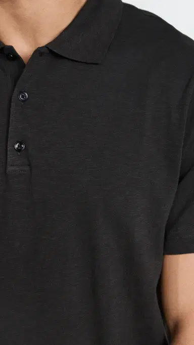 Theory Bron Polo in Cosmos | Thumbnail 6