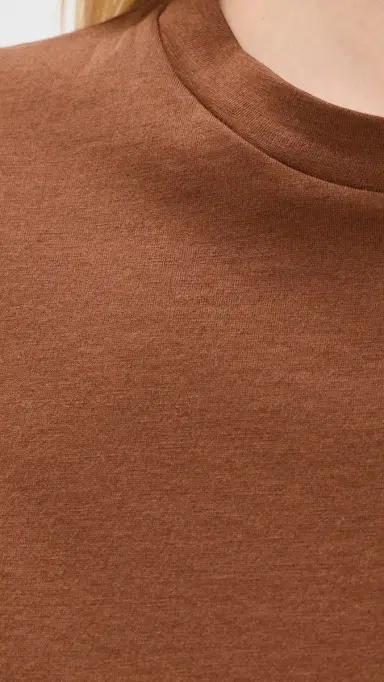 Theory Tiny Tee 2. Apex Tee Caramel | Thumbnail 6