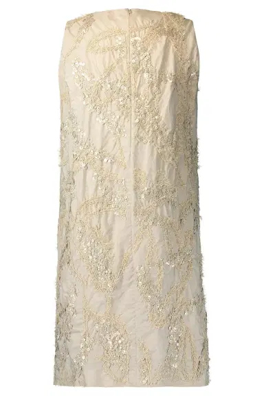 Brunello Cucinelli Dazzling Seabed Embroidered Mini Dress | Thumbnail 5