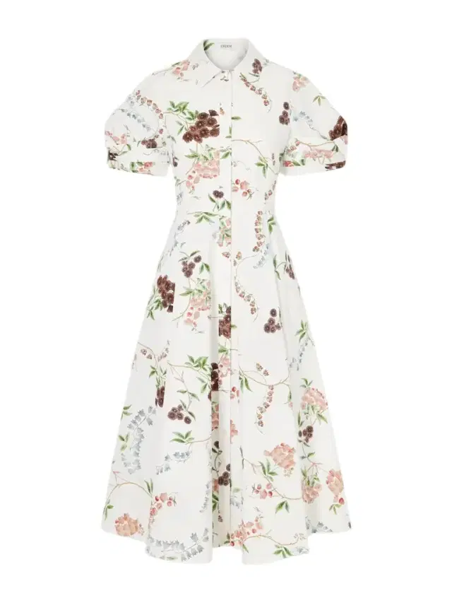 Pleated Floral-print Cotton-poplin Midi Shirt Dress