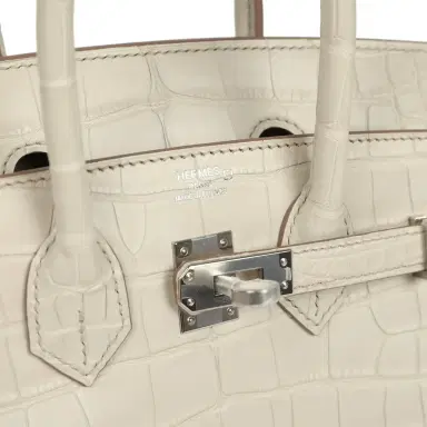 HERMÈS Hermes Birkin 25 Beton Matte Alligator Palladium Hardware | Thumbnail 7