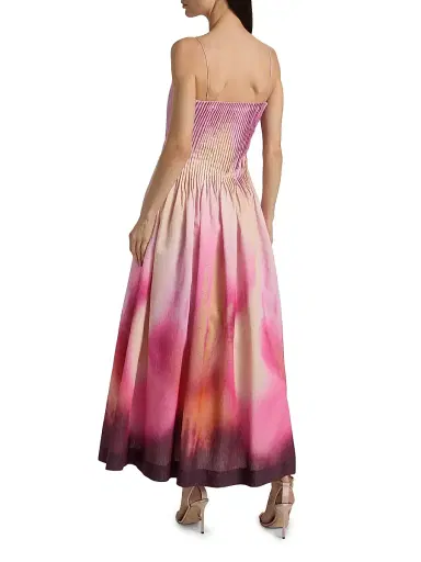 Amur Women's Grecia Printed Pleated Maxi Dress | Thumbnail 5 Amur Women's Grecia Printed Pleated Maxi Dress | Thumbnail 5