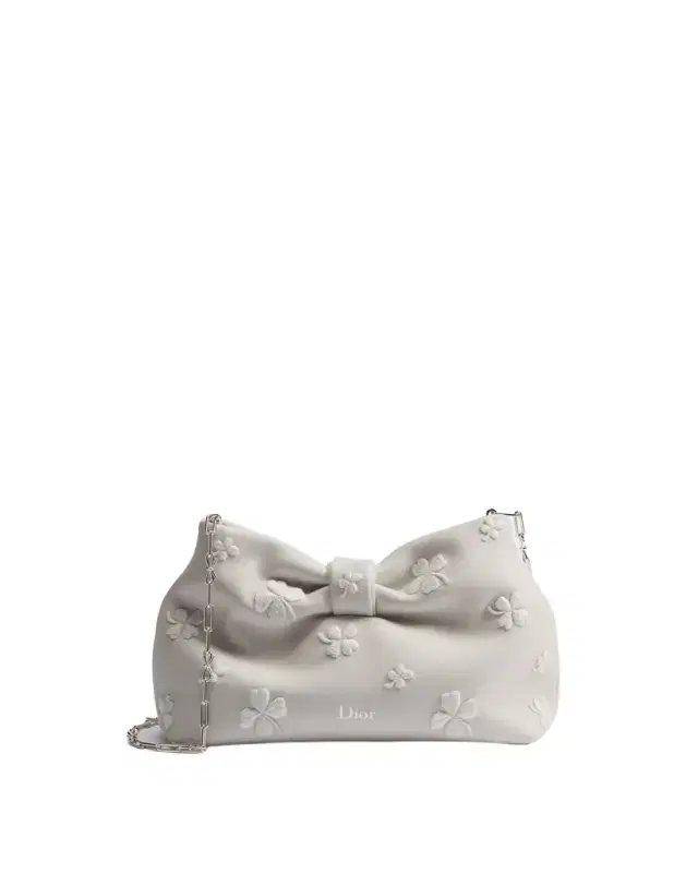 Small Dior Bow Bag