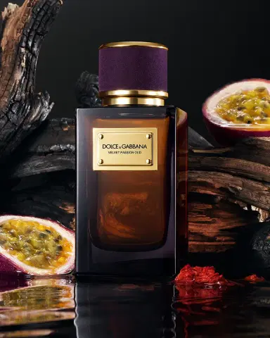 Dolce & Gabbana Beauty Velvet Passion Oud Eau de Parfum, 3.3 oz. | Thumbnail 4 Dolce & Gabbana Beauty Velvet Passion Oud Eau de Parfum, 3.3 oz. | Thumbnail 4