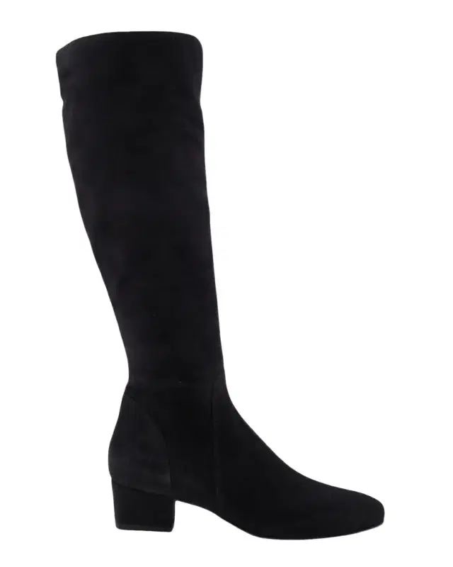 Aquatalia Serafina Suede Knee-High Boots