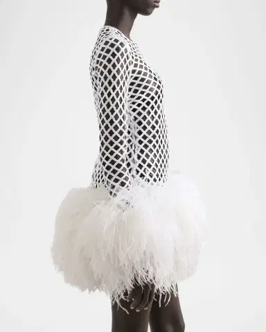 Dolce & Gabbana Feather-Trim Sequined Fishnet Long-Sleeve Mini Dress | Thumbnail 5 Dolce & Gabbana Feather-Trim Sequined Fishnet Long-Sleeve Mini Dress | Thumbnail 5