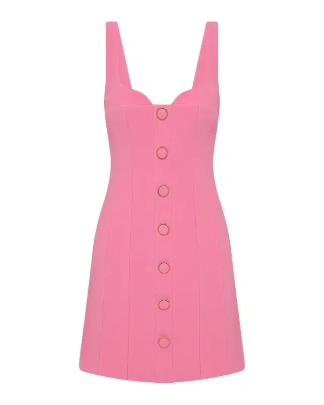 Muriel Panelled A-Line Mini Dress