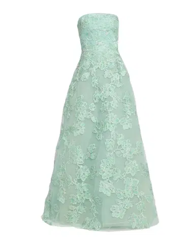 Reem Acra Floral Metallic Raffia Embroidered Tulle Strapless Gown | Thumbnail 1 Reem Acra Floral Metallic Raffia Embroidered Tulle Strapless Gown | Thumbnail 1