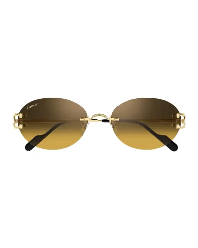 Cartier Men 's CT0551S-009 Metal Round Sunglasses