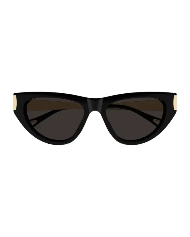 Chloe Holly 54mm Acetate & Metal Cat-Eye Sunglasses