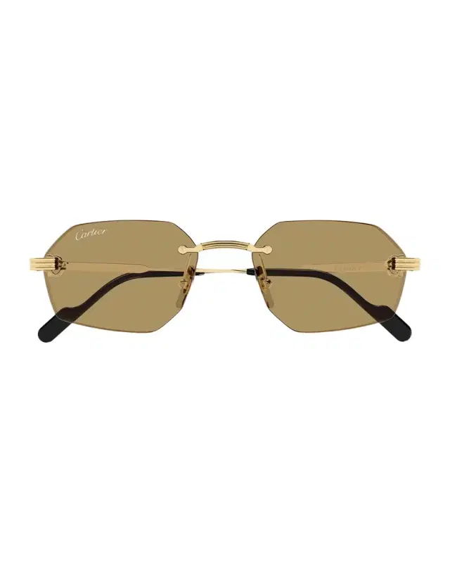 Cartier Men 's CT0616S-002 Metal Rectangle Sunglasses