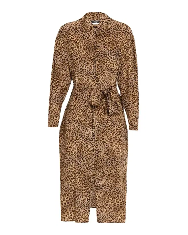 Leopard-Print Silk Crepe De Chine Midi Shirtdress