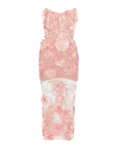 Zhivago Dream of That Floral Mesh Midi Dress | Thumbnail 1
