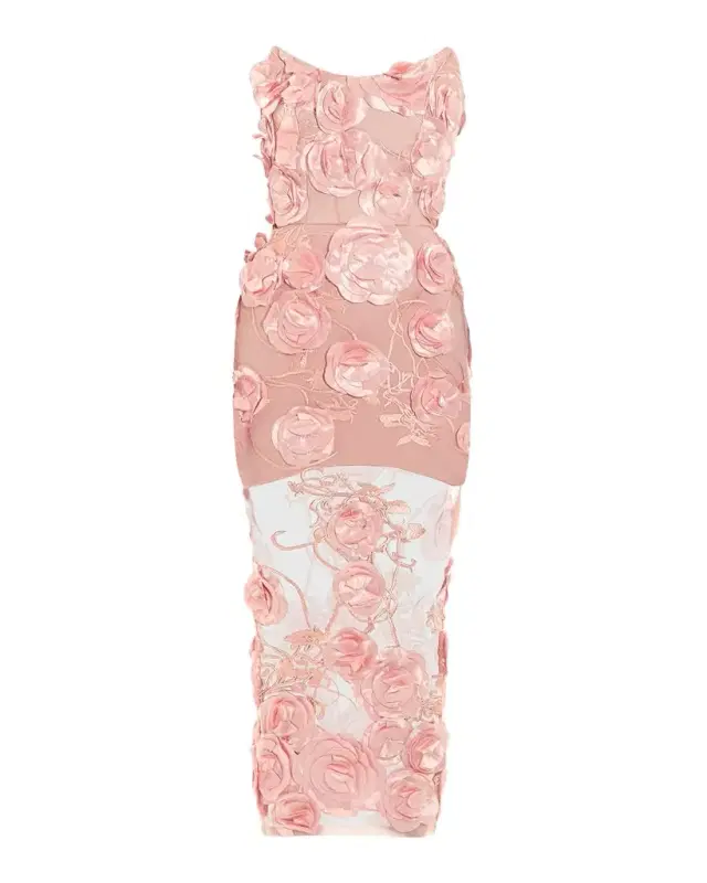 ZHIVAGO Dream of That Floral Mesh Midi Dress