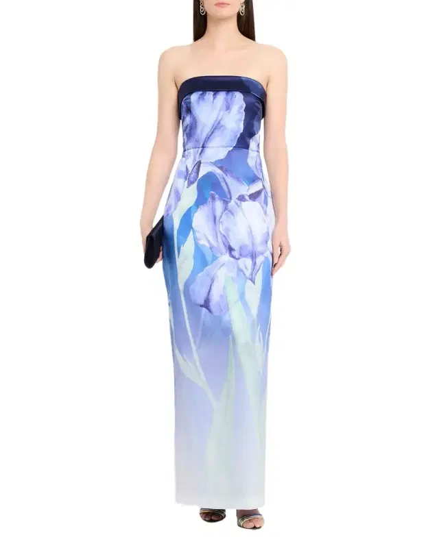 Cyrilla Ombre Floral-Print Column Gown