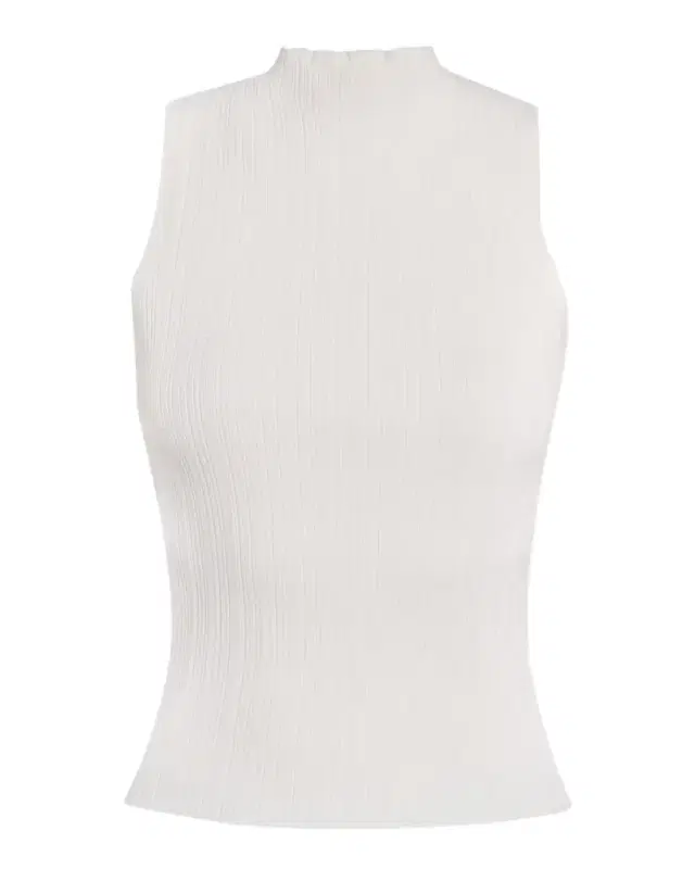 Ravyn Ribbed Mock-Neck Tank Top