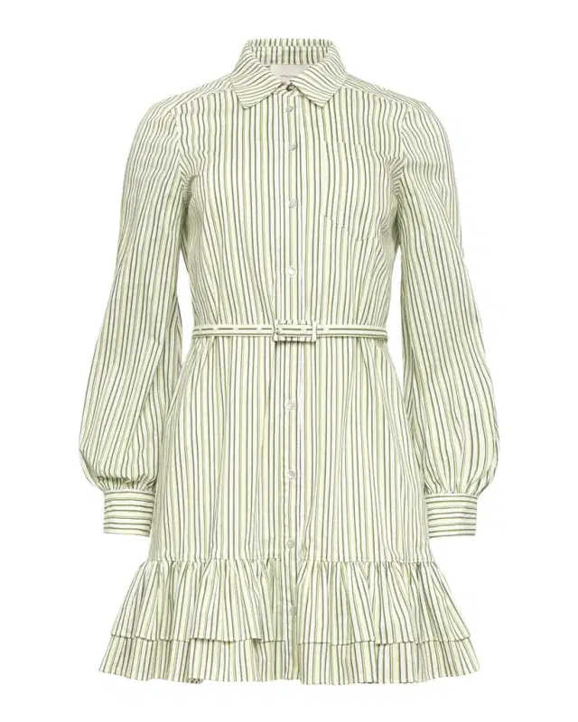Sophie Striped Belted Mini Shirtdress