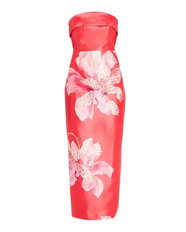 Ciara Strapless Floral-Print Maxi Dress