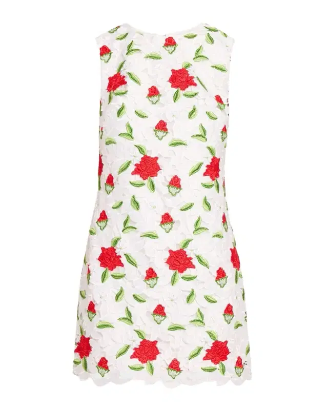 Ivette Embroidered Mini Dress