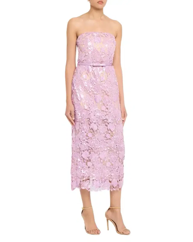 Rowen Sequined Lace Midi Dress