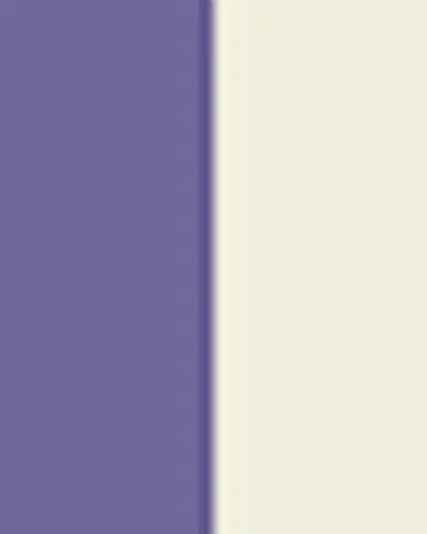 MacKenzie-Childs Violet Check Pinch Bowl | Thumbnail 2