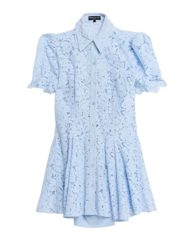 Swanetta Lace Mini Dress