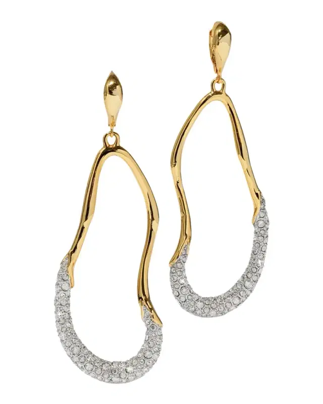 Solanales Crystal Curve Leverback Drop Earrings