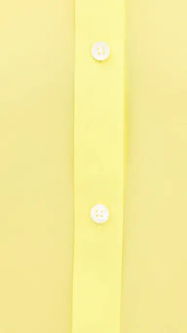 RENGGLI Georgette Button Up Margarita M | Thumbnail 6