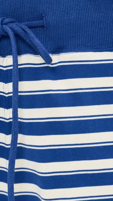 Denimist Relaxed Shorts Blue Stripe Multi L | Thumbnail 6