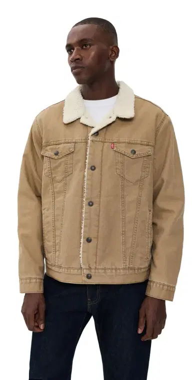 Levi's Type 3 Sherpa Trucker Jacket | Thumbnail 1 Levi's Type 3 Sherpa Trucker Jacket | Thumbnail 1