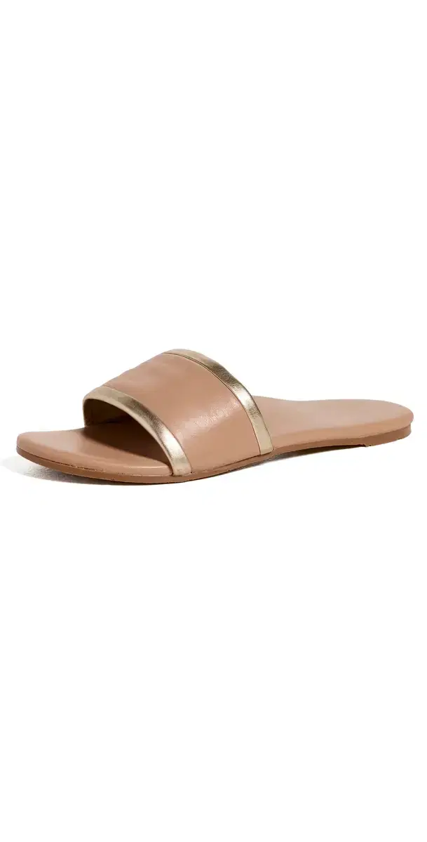 Shorebird Slides Beach/Gold
