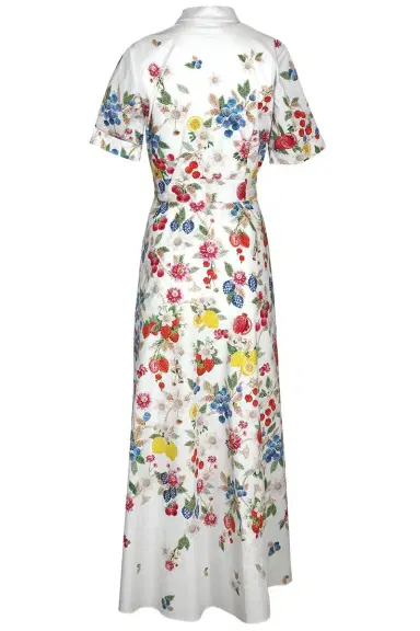 Mary Katrantzou Como Maxi Dress - Fruitavola | Thumbnail 4