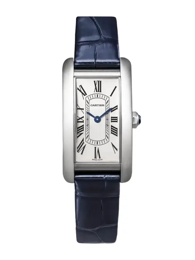 Cartier Tank Américaine Small Stainless Steel Watch