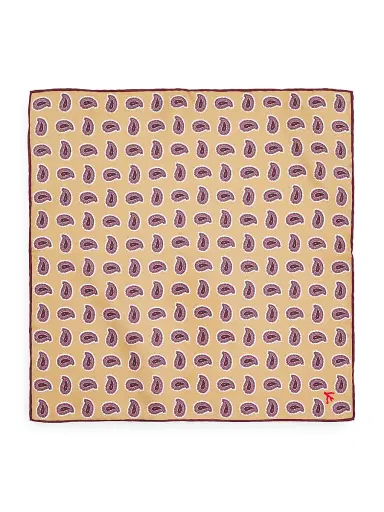 Isaia Men's Paisley Silk Pocket Square | Thumbnail 2