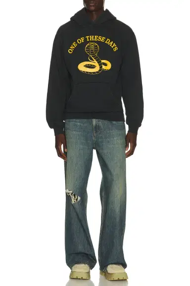 ONE OF THESE DAYS Cobra Pullover Hoodie | Thumbnail 3