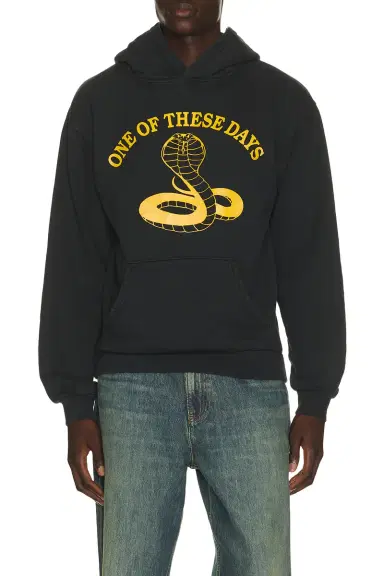 ONE OF THESE DAYS Cobra Pullover Hoodie | Thumbnail 1