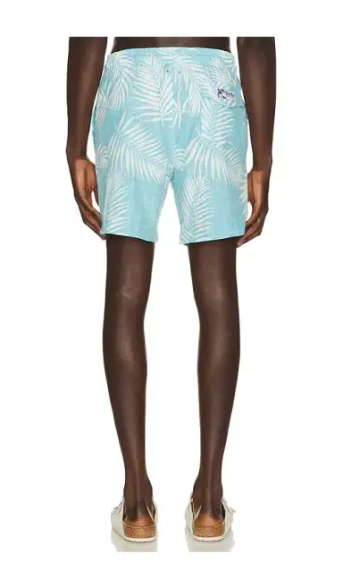 Trunks Surf & Swim Co. Sano 6.5 Swim Short | Thumbnail 2