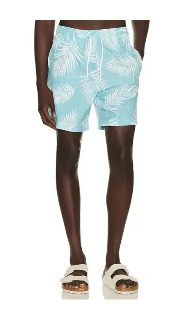 Trunks Surf & Swim Co. Sano 6.5 Swim Short | Thumbnail 1