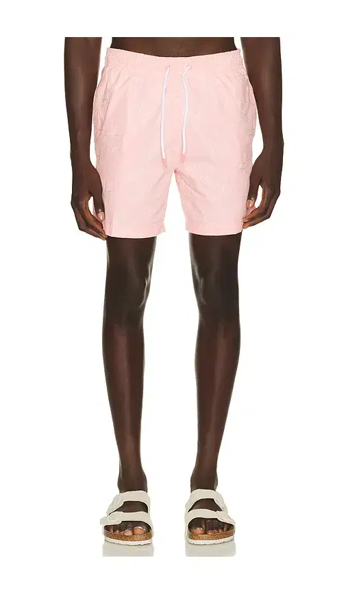 Trunks Surf & Swim Co. Sano 6.5 Swim Short