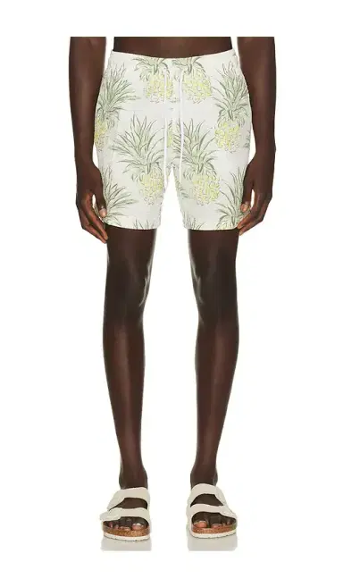Trunks Surf & Swim Co. Sano 6.5 Swim Short | Thumbnail 1