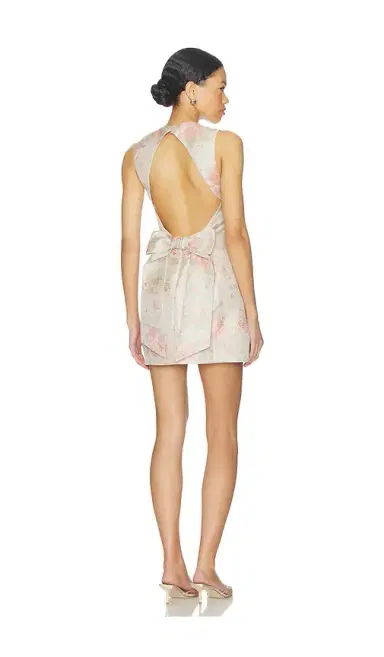 Stone Cold Fox x REVOLVE Cathy Mini Dress | Thumbnail 1 Stone Cold Fox x REVOLVE Cathy Mini Dress | Thumbnail 1