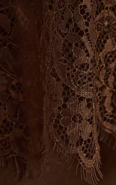 Third Form Visions Strapless Lace Satin Maxi Dress | Thumbnail 5