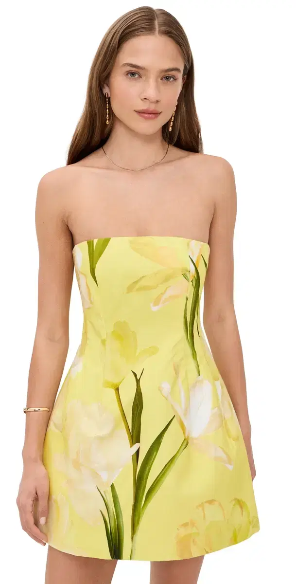 Ines Mini Dress Lillian Lemon