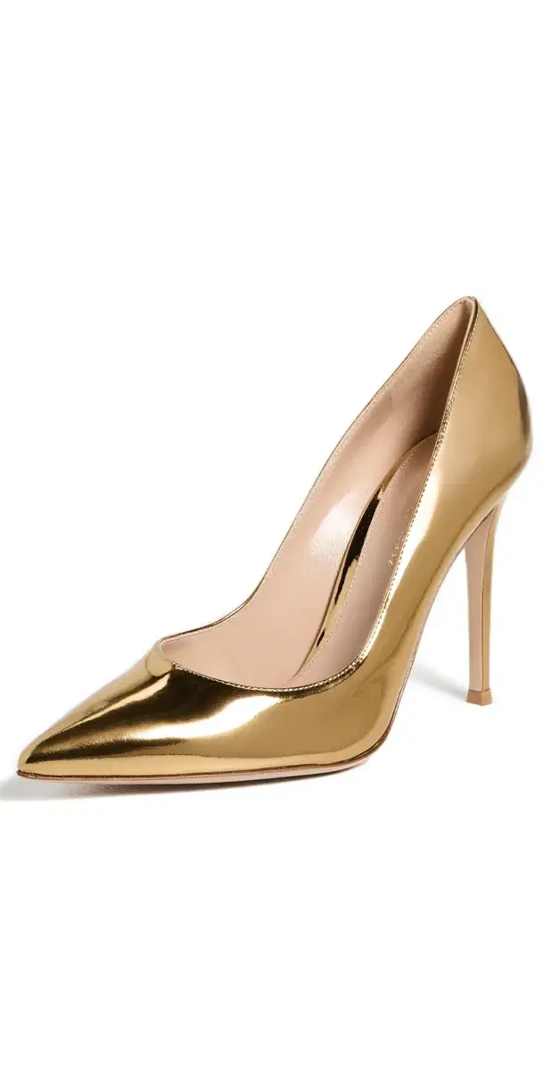 Gianvito Metal Pumps 105mm Mekong