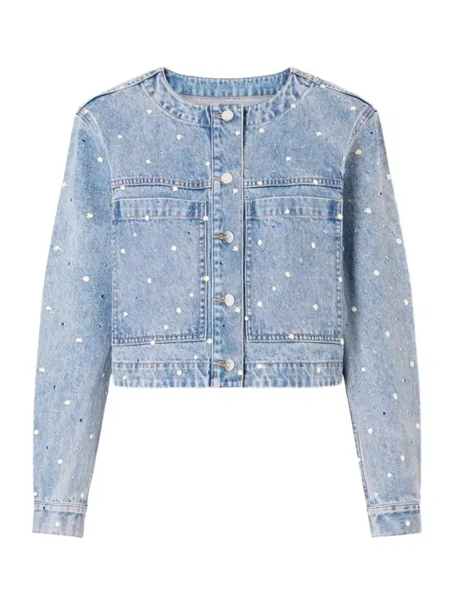 Lowry Cropped Embellished Denim Jacket