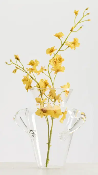 FAZEEK Silhouette Vase Clear One Size | Thumbnail 2